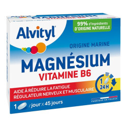 Alvityl Magnésium Vitamine B6 libération prolongée 45 comprimés