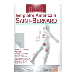 Saint-Bernard emplâtre grand modèle 19 x 30cm