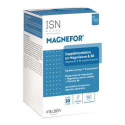 Ineldéa Santé Naturelle Magnefor Supplémentation en magnésium et B6 90 gélules